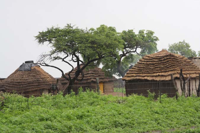 Dans la campagne du Swaziland