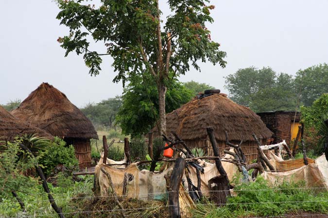 Dans la campagne du Swaziland