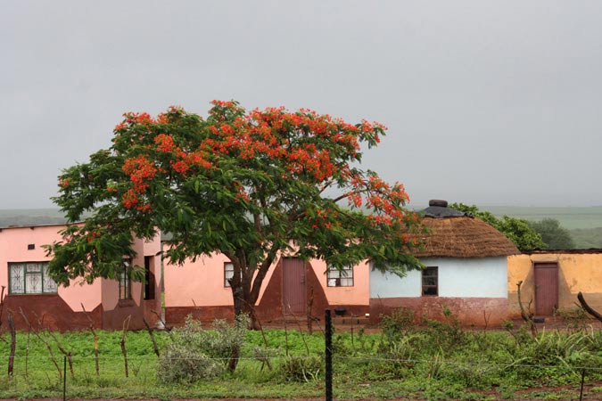 Dans la campagne du Swaziland Dans la campagne du Swaziland