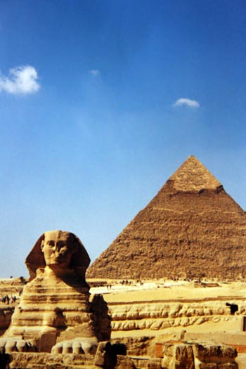 Sphynx Sphynx