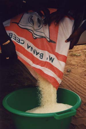 Nous apportons du riz pour les remercier de leur accueil.