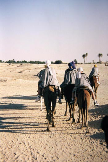 Balade chamelière à Douz.