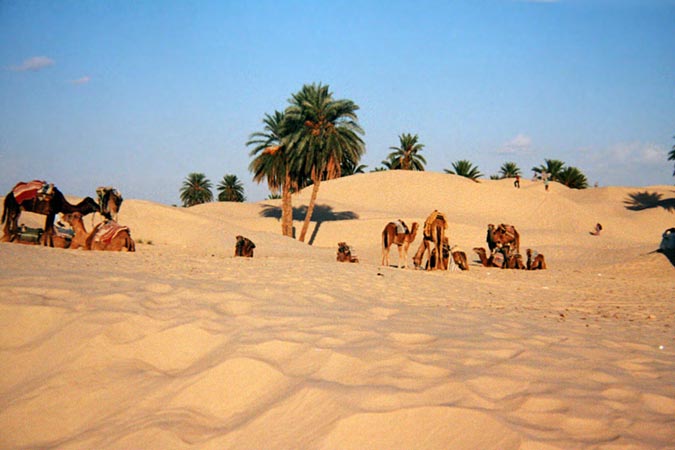 Douz : du sable à n'en plus finir.