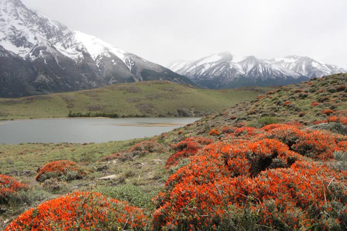 Lac Nordenskjold Lac Nordenskjold