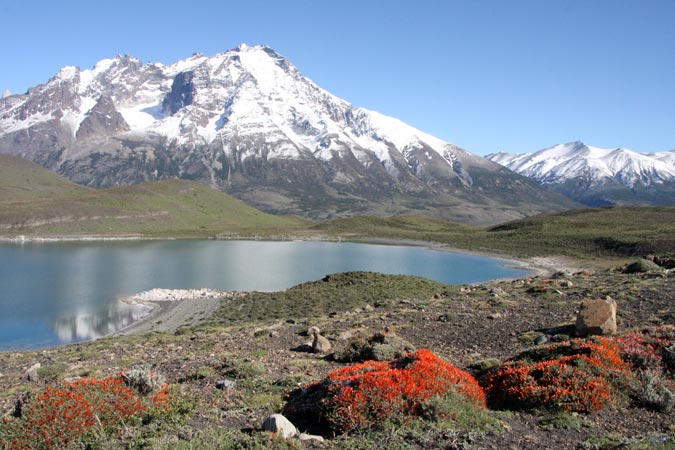 Parc Torres del Paine