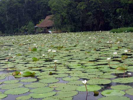 Rio Dulce Rio Dulce