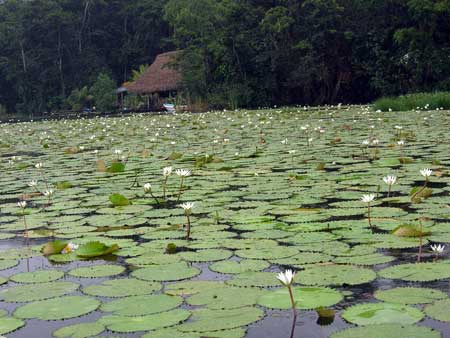 Rio Dulce