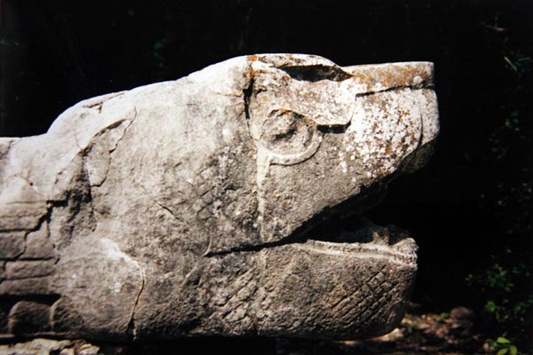Tête de serpent du jeu de pelote (Chichen Itza). Tête de serpent du jeu de pelote (Chichen Itza).