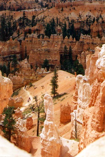 Descendez tout au fond de Bryce Canyon pour profiter de ce paysage sublime.