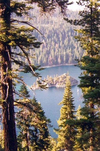 Le lac Tahoe, écrin bleu noyé dans la verdure.