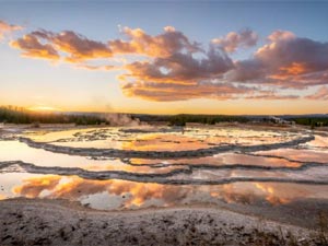 Yellowstone