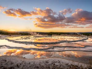 Yellowstone