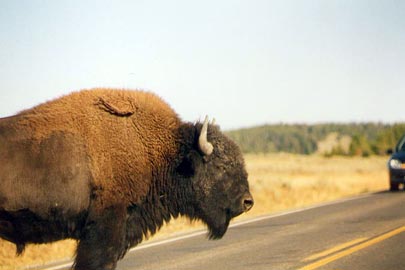 Yellowstone Yellowstone
