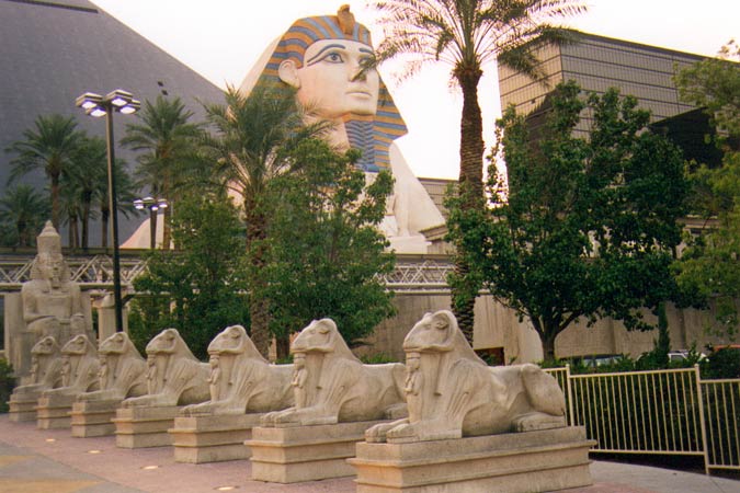 Les sphynx de Luxor en voyage à Las Vegas.
