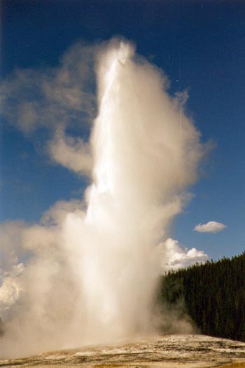 Old Faithful, le geyser le plus célèbre de Yellowstone.