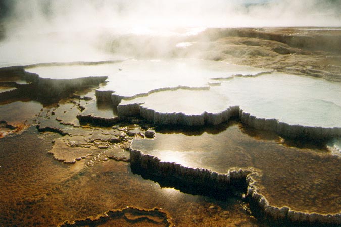 Vapeurs d'eaux chaudes à Mammoth Hot Springs.