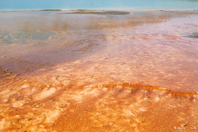 Midway Geyser Basin, couleurs de feu...