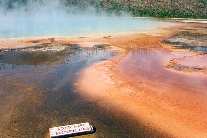 Ce sont des bactéries qui donnent cette couleur au Midway Geyser Basin.