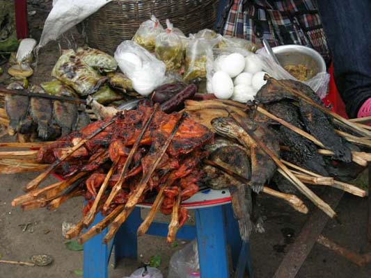 Poissons Poissons