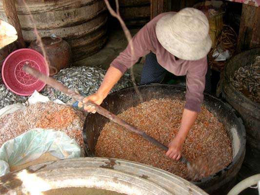 Crevettes fermentées