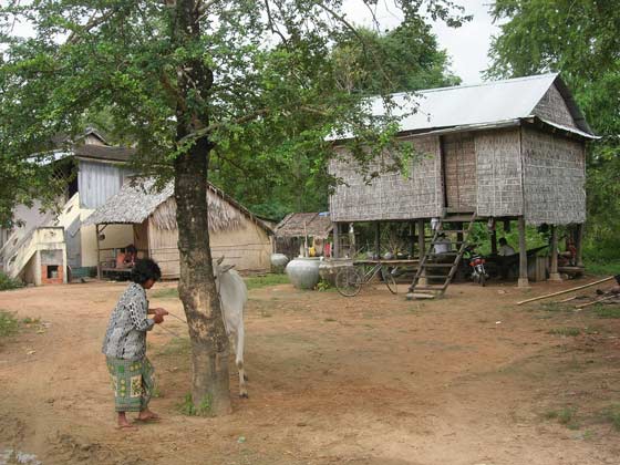 Village Village