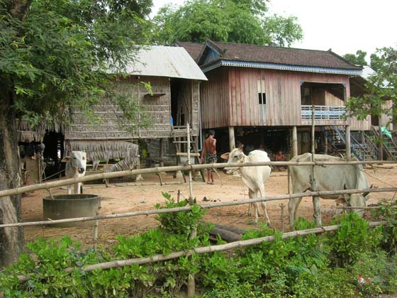 Village Village