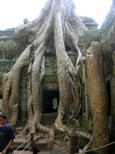 Ta Phrom