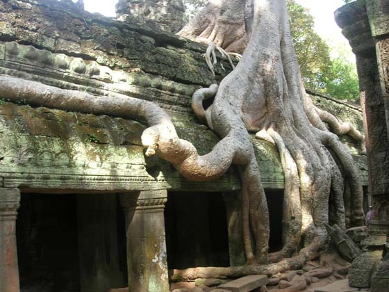 Ta Phrom