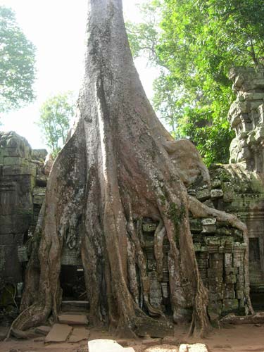 Ta Phrom