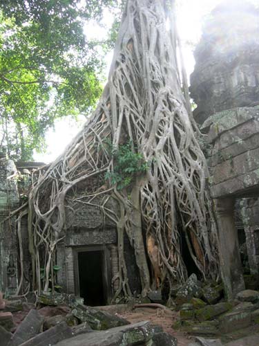 Ta Phrom