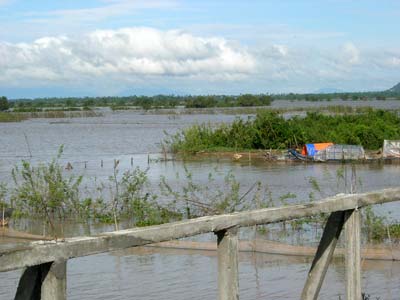 Champs inondés