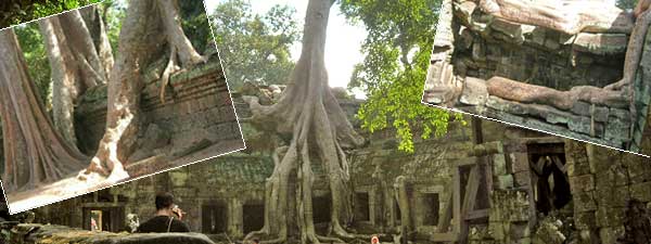 Ta Phrom