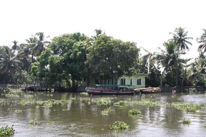 Backwater Backwater