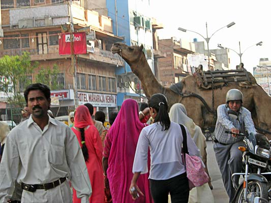 Jodhpur