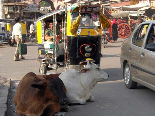 Jodhpur