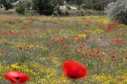 Vallée de Pancarlik