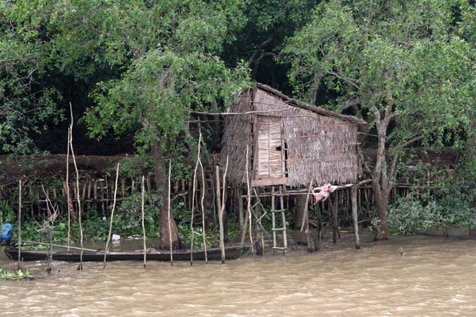 Delta du Mekong