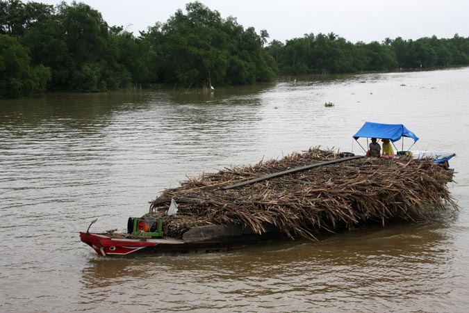 Delta du Mekong Delta du Mekong