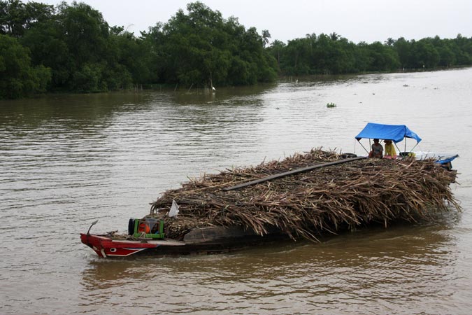 Delta du Mekong