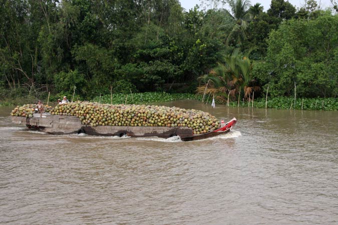 Delta du Mekong