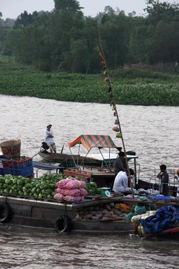 Delta du Mekong