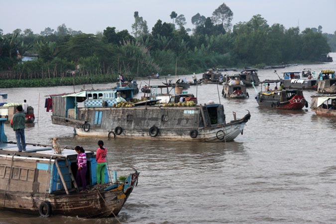 Delta du Mekong