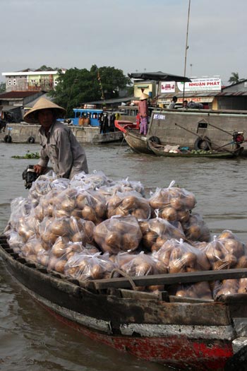 Delta du Mekong