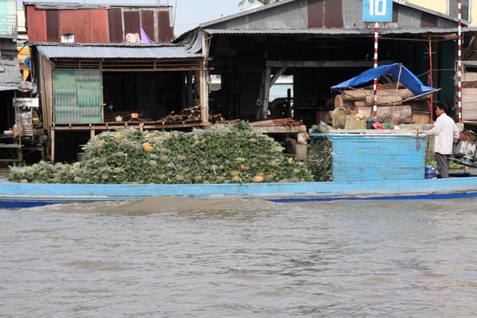 Delta du Mekong