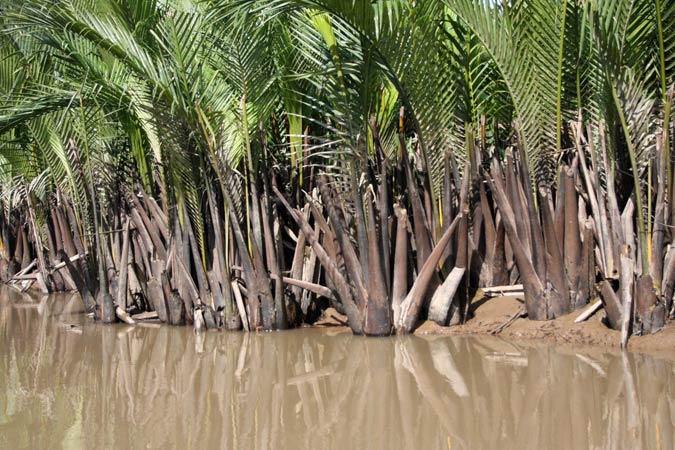 Mekong Mekong