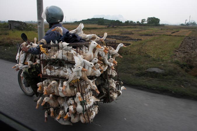 Transport Transport