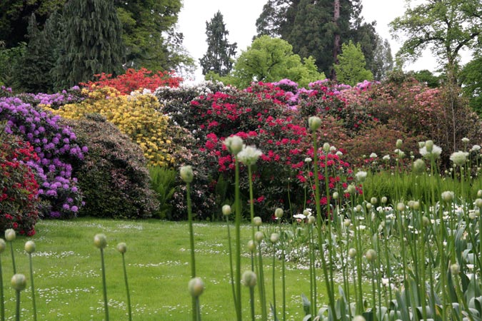 Mainau