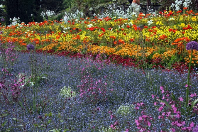 Mainau