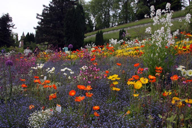 Mainau