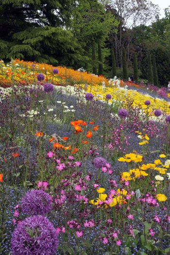 Mainau